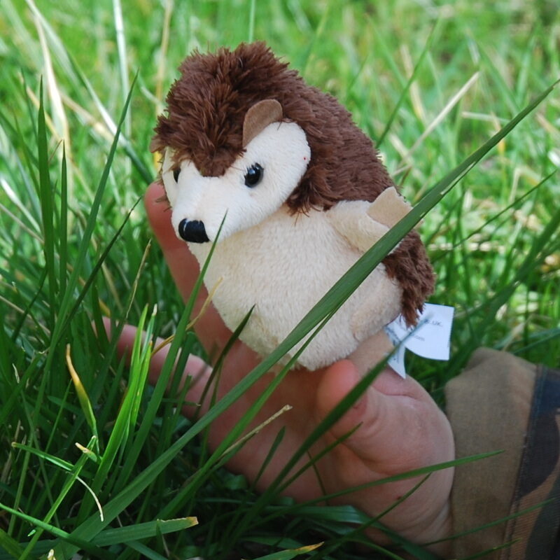 Hedgehog clearance finger puppet