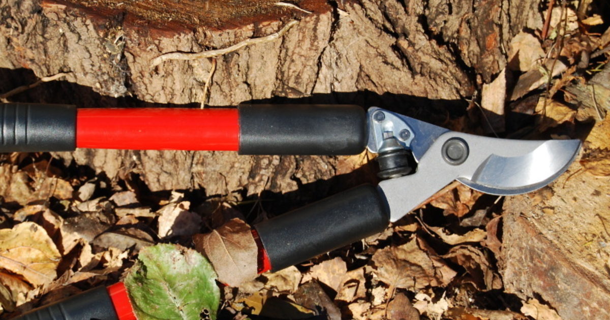 Lightweight loppers cheap