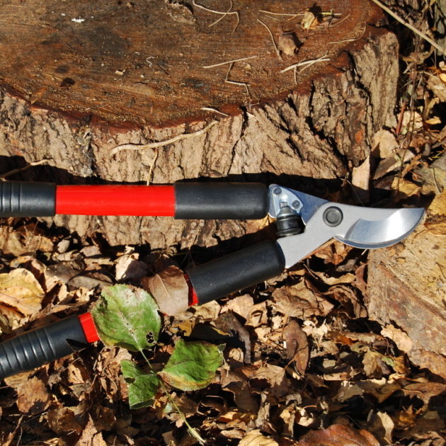 Lightweight Bypass Loppers 480mm Muddy Faces