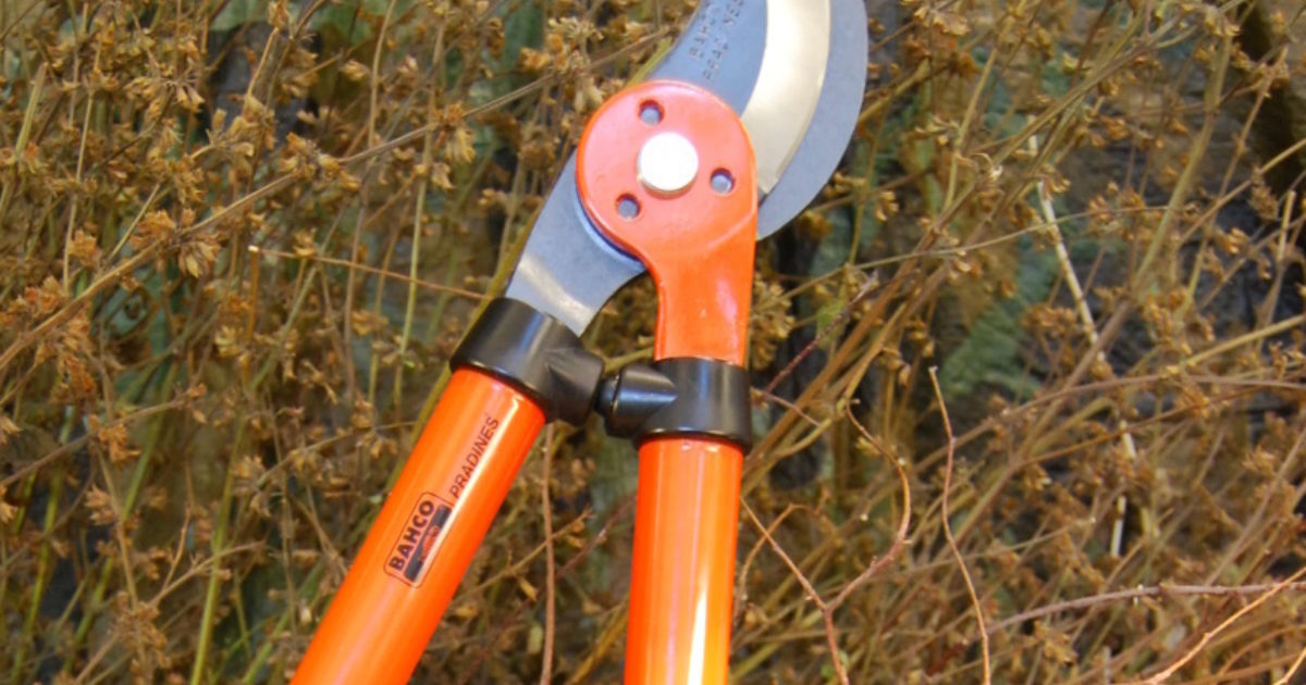 Shrub loppers online