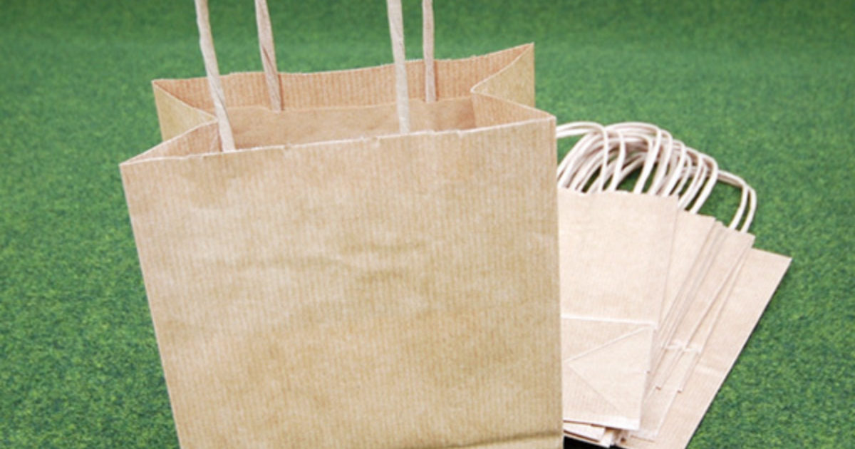 Paper Carrier Bags with Twisted Handles Pack of 10