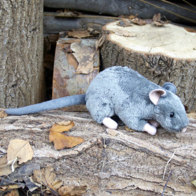 鼠年YEAR OF THE RAT限定UK製M577YORスウェード26cm新品 KEY202_rat_600x600.jpg?mtime=