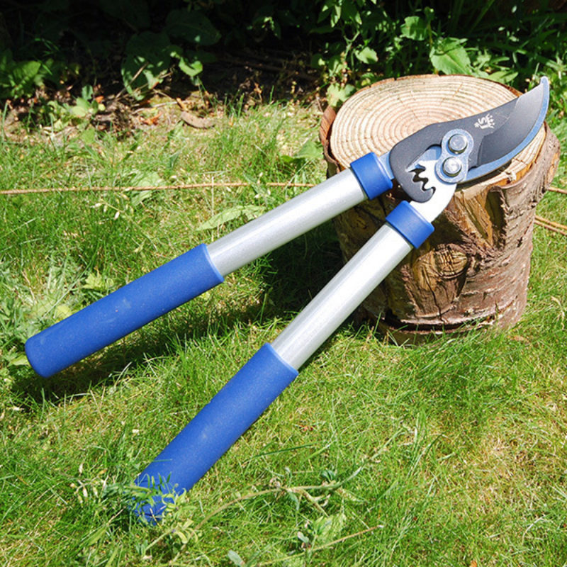 Mini loppers cheap