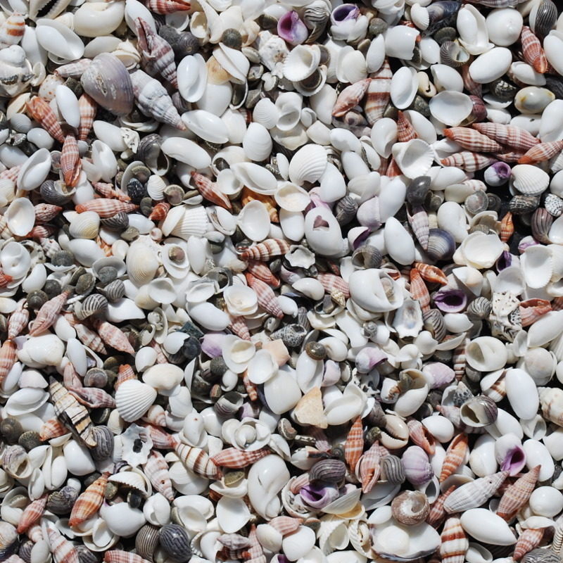 OPSHE15-L-Small-Shells-3kg-