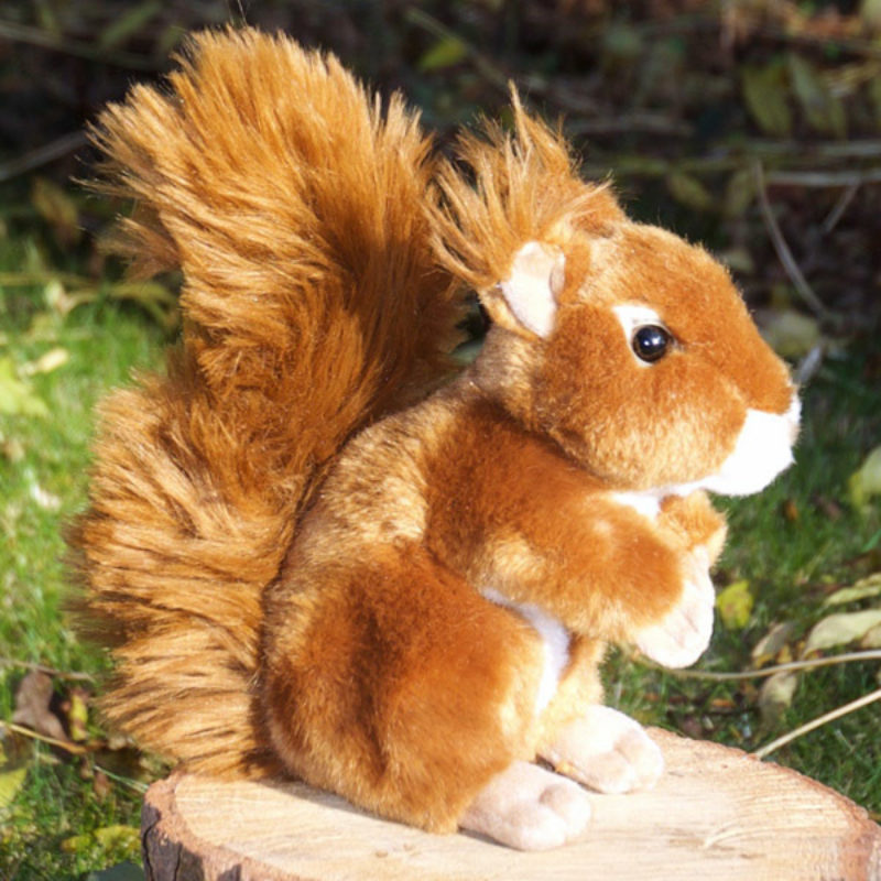Squirrel cuddly toy hotsell