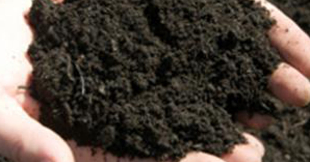 Wicks soil hot sale