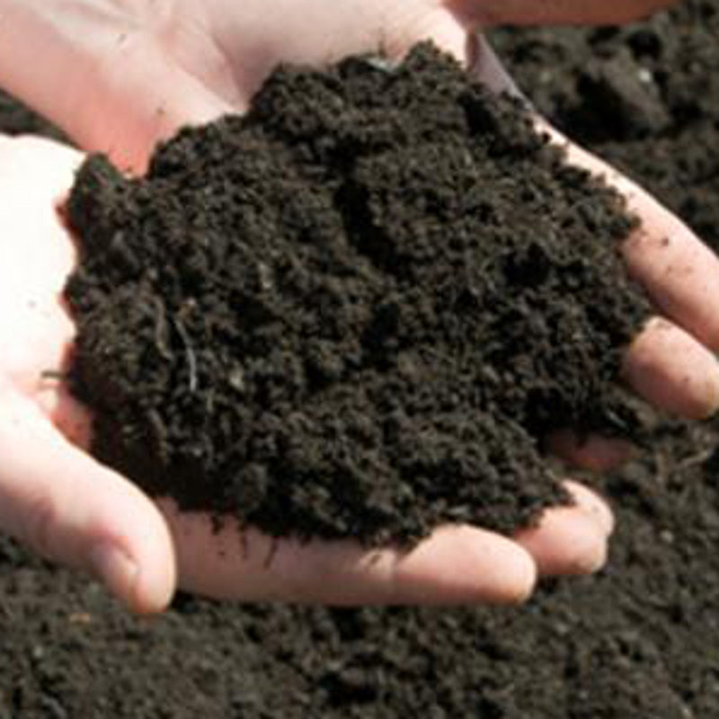 Wicks clearance top soil