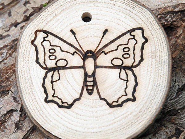 Butterfly 600x600