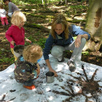 A Woodland Play Group 2