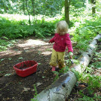 A Woodland Play Group 3