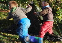 manual override of the alt attribute