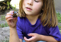 manual override of the alt attribute