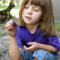 manual override of the alt attribute