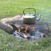 Sized 200 Step 5 foraging bilberries