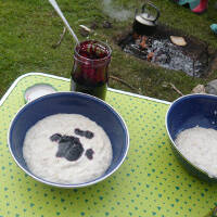 Sized 200 step 6 foraging bilberries