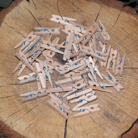 Mini Wooden Pegs - Pack of 50