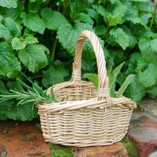 manual override of the alt attribute