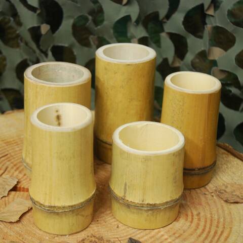 Bamboo Vessels - Pack of 5