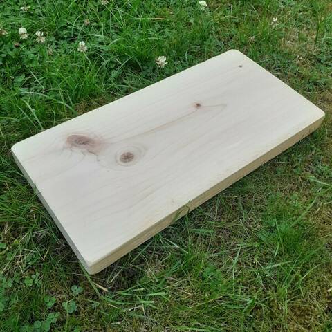 Economy Plank