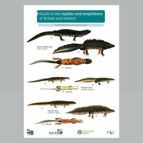 Field Guide - Reptiles & Amphibians