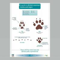 manual override of the alt attribute