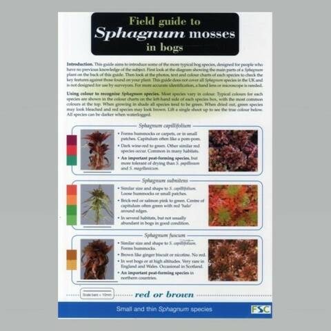 Field Guide - Sphagnum Mosses in Bogs