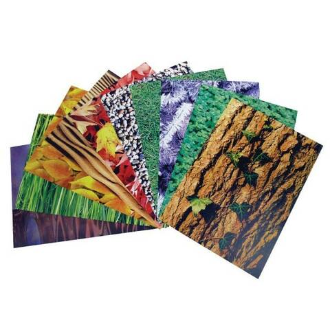 Nature Trail Paper - Pack of 40