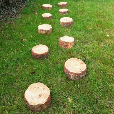 Log Stepping Rounds - Set of 10