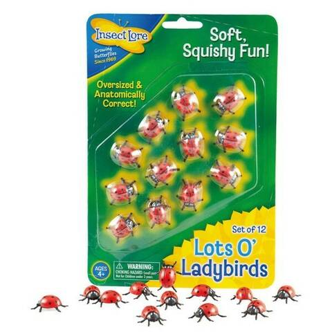Lots O' Ladybirds - Pack of 12