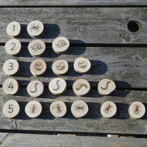 Minibeasts Counting Set 1-5