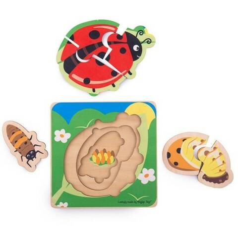 Life Cycle Layer Puzzle - Ladybird