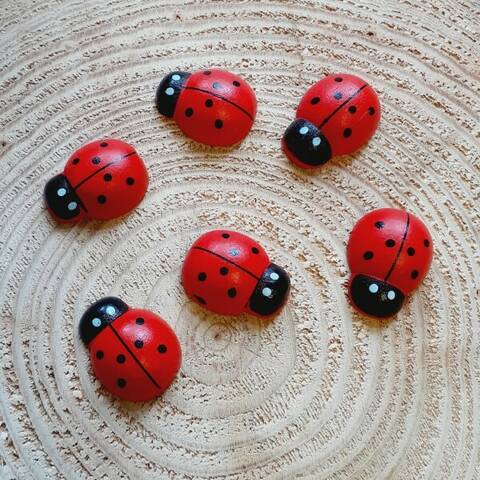 Self Adhesive Wooden Ladybirds (pack of 6)