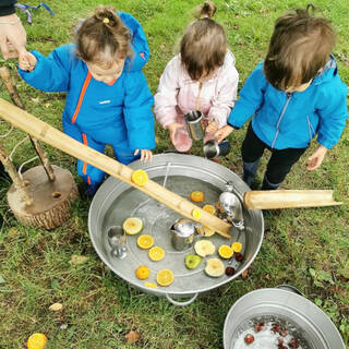 manual override of the alt attribute