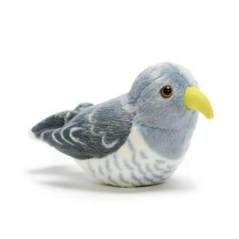 Cuckoo - Singing Bird