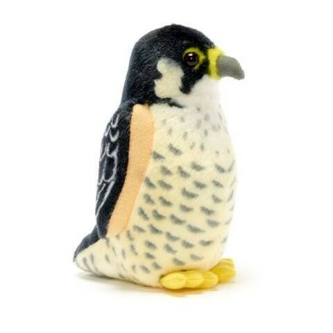 Peregrine Falcon - Singing Bird