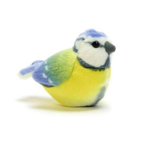 Blue Tit - Singing Bird