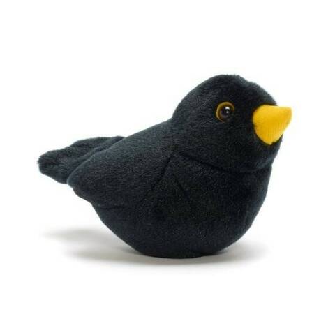 Blackbird - Singing Bird
