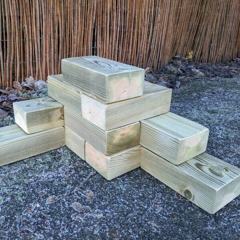 Wooden Bricks - set of 10
