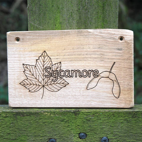 Rustic Sign - Sycamore