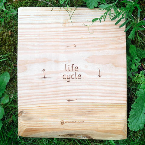 Life Cycle Board - UK Wood