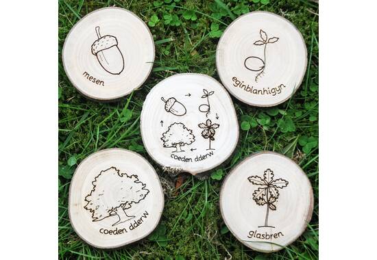 manual override of the alt attribute