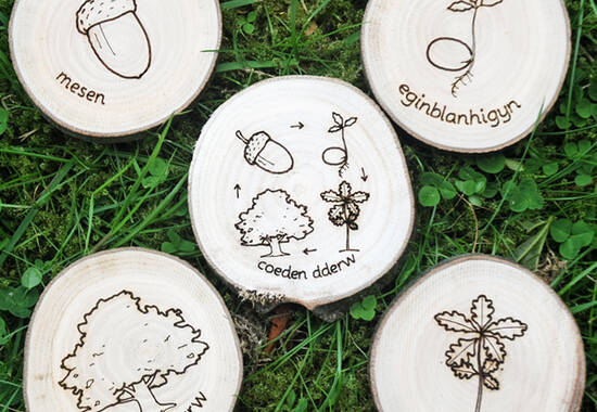 manual override of the alt attribute