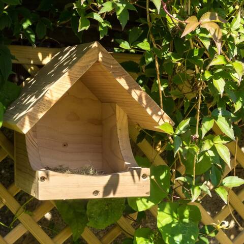 Blackbird Nest box