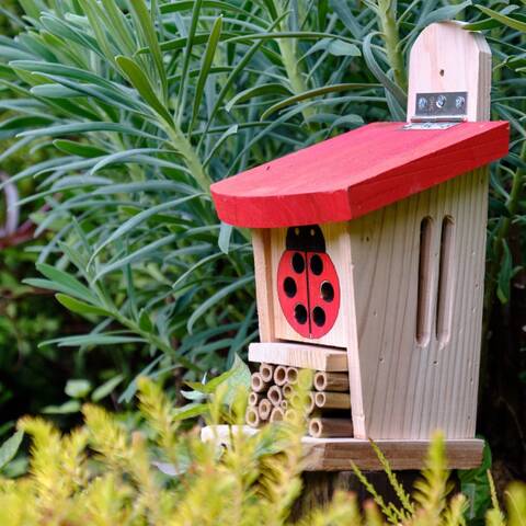 Ladybird and Insect Lodge