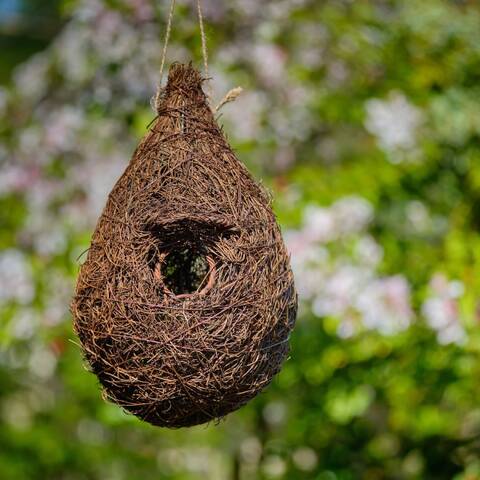 Giant Roost Nest Pocket