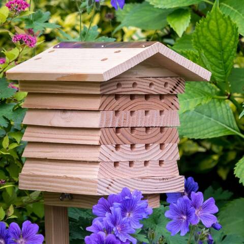 Solitary Bee Hive