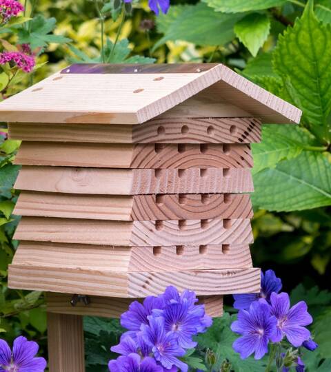Solitary Bee Hive
