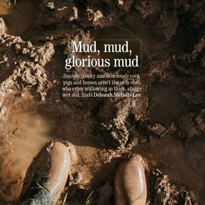 Country living mud day article pic