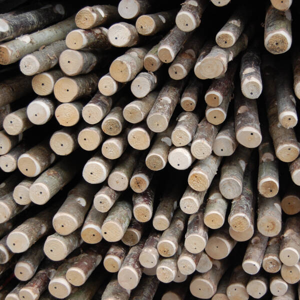 UK Grown Wood 3 60x60