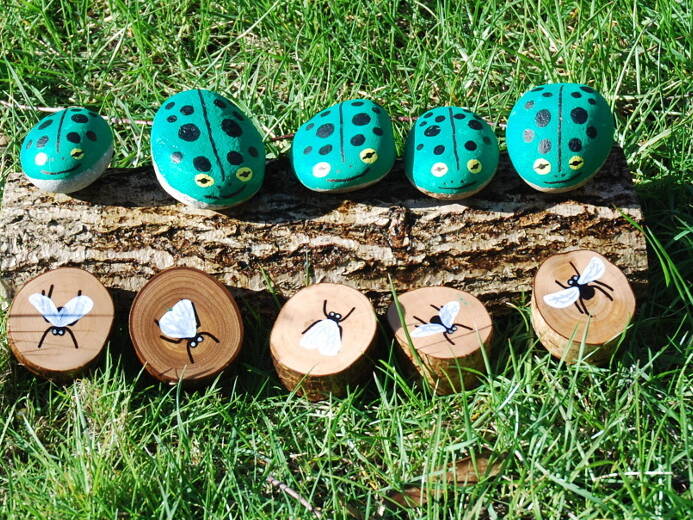 Frogs and lfies on a log